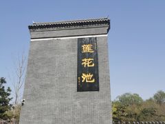-莲花池公园