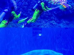 -海合安青岛极地海洋公园