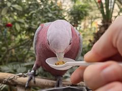 -南宫五洲植物乐园