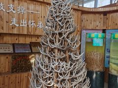 -北京鹿世界主题园