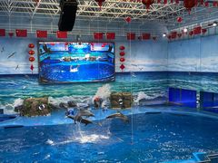 -多彩贵州城极地海洋世界