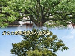 -宁波市保国寺古建筑博物馆