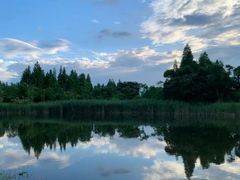 -艾溪湖湿地公园