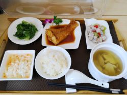 -海豚湾高端月子会所(黄浦店)