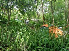 -铁山坪森林公园