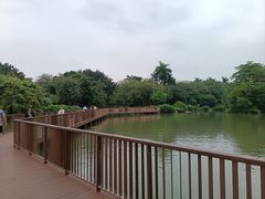 -海珠湖公园