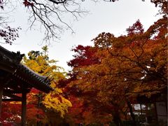 -常寂光寺