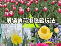-上海鲜花港