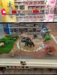 -kidsland(上海环球港店)