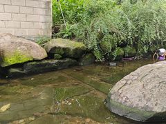 -重庆彩云湖湿地公园