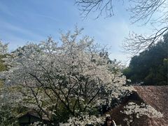 -中国茶叶博物馆(双峰馆区)