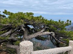 -黄山风景区