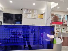 -伟伟宠物医院·CT影像中心·瑞派犬猫综合性门诊(汉口总院)