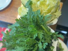 -草原塞蛮羊火锅城(港湾店)