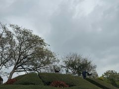 -胡里山炮台