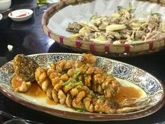 -百丈园龙江啫神馆