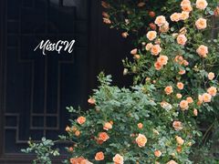-老门东历史文化街区