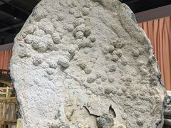 -游龙石文化科普馆