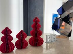 点击看大图 -BR光电保养