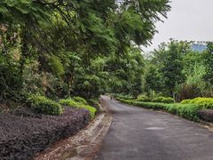 -广西壮族自治区药用植物园