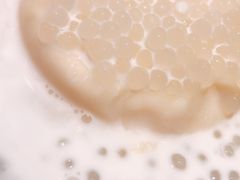 椰汁西米豆腐花-仁信老铺(嘉信店)