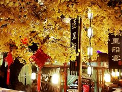 -淀里船宴(裕华东路店)