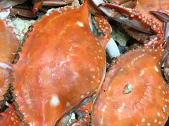 -福泉海码头(六里山店)