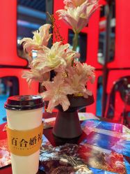 -Sunny喜铺婚礼定制·求婚策划