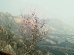 景点-北京鹫峰国家森林公园