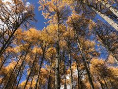 -硗碛藏寨·神木垒景区