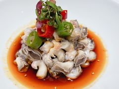 -广舟(千禧店)
