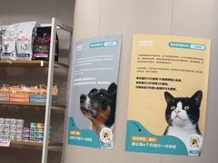 -瑞鹏宠物医院·骨科·猫科·内科(第一中心)