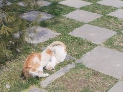 -秦始皇帝陵博物院-丽山园