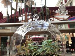 -中家鑫园温泉酒店鑫悦汤泉