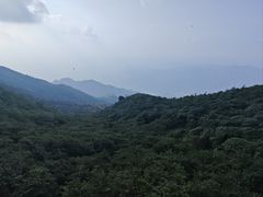 -大围山国家森林公园