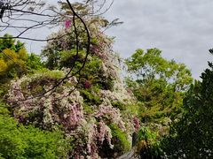 -深圳国际园林花卉博览园