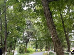 -两河城市森林公园