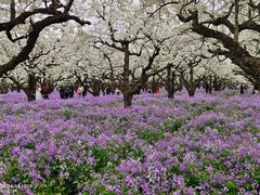-江苏三台山国家森林公园
