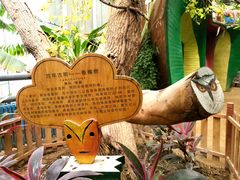 -呀路古热带植物园
