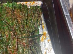 -永红源啤酒·烧烤·海鲜·大排档(台柳路店)
