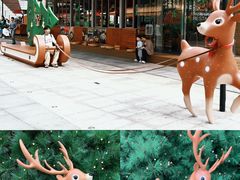 -深圳湾万象城(南山店)