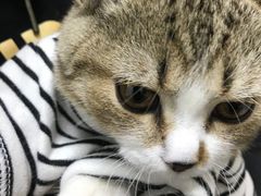 -美联众合24小时·皮肤科·外科·全科诊疗中心(华苑分院)