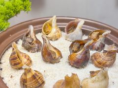 -粤盛海鲜平价店(洛溪食街店)