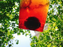 -王记西鎮电烤肉(汶上路店)