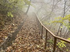 -北京上方山国家森林公园