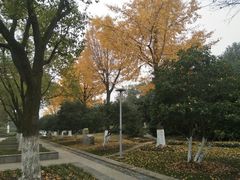 -昆山城市公园