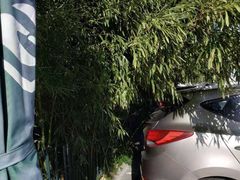 -紫竹院公园-东门停车场