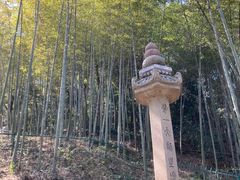 -虎跑公园