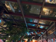 -海岛八号龙虾烧烤田鸡(蓝天路总店)