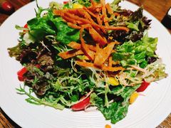 圣达菲沙拉-盐说Salt Talk北美风味西餐厅(海上世界店)